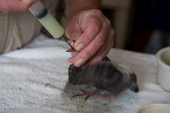 Reportage Seabird Sanctury